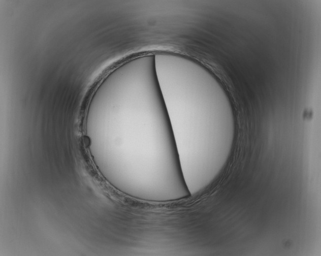 X0000113140628200909040958