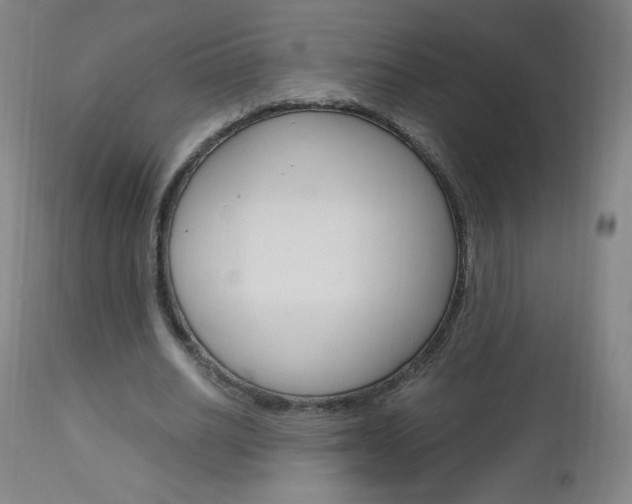 X0000113140630200909040958