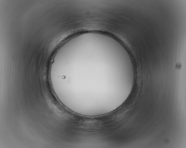X0000113140631200909040958
