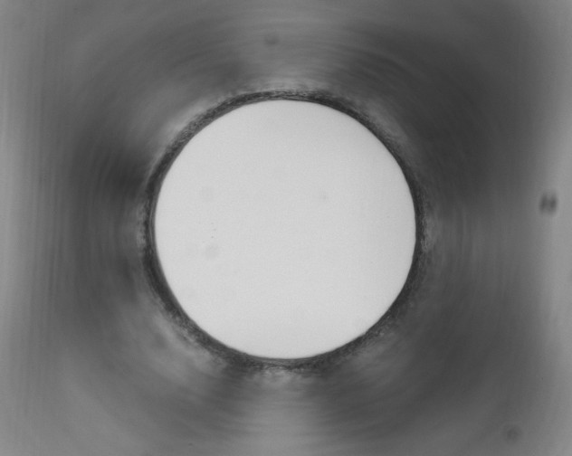 X0000113140632200909040958