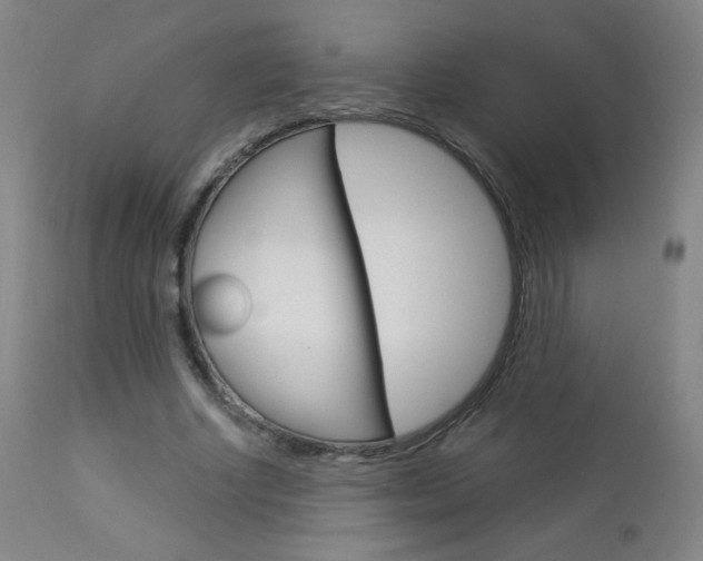 X0000113140634200909040958