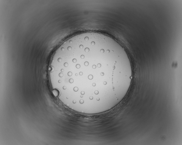 X0000113140635200909040958