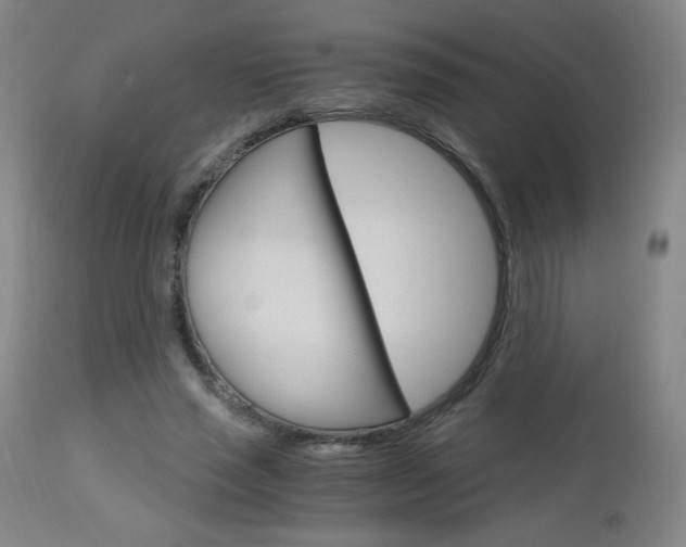 X0000113140637200909040958