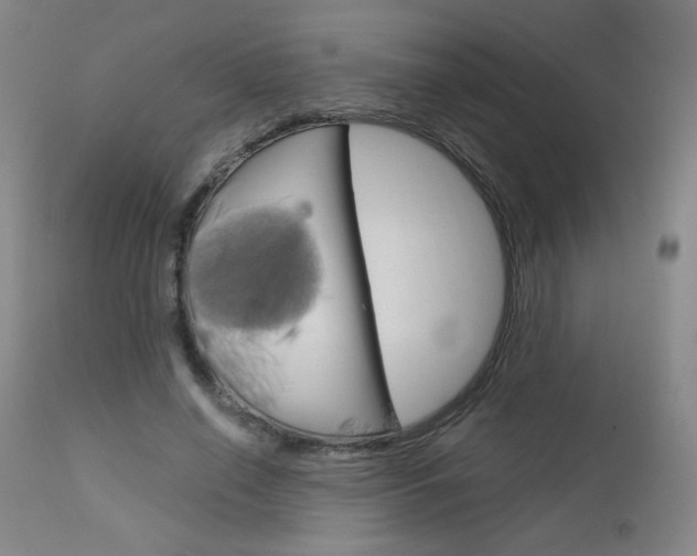 X0000113140638200909040958