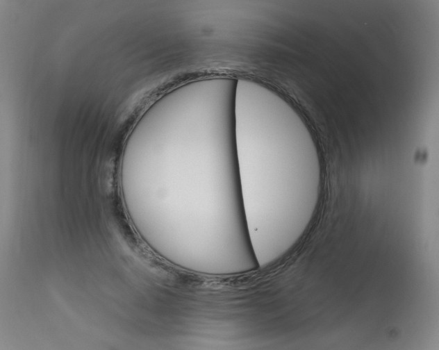 X0000113140640200909040958