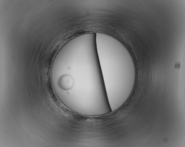X0000113140641200909040958