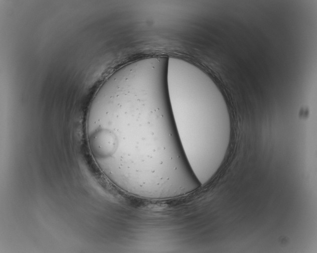 X0000113140642200909040958