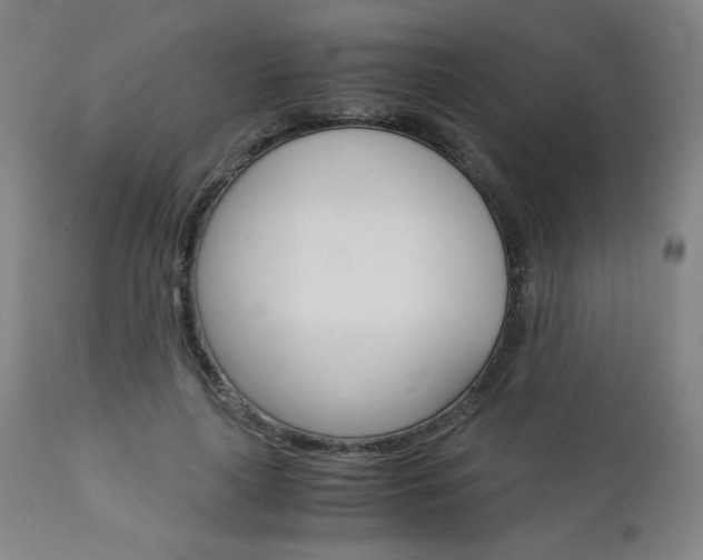 X0000113140643200909040958