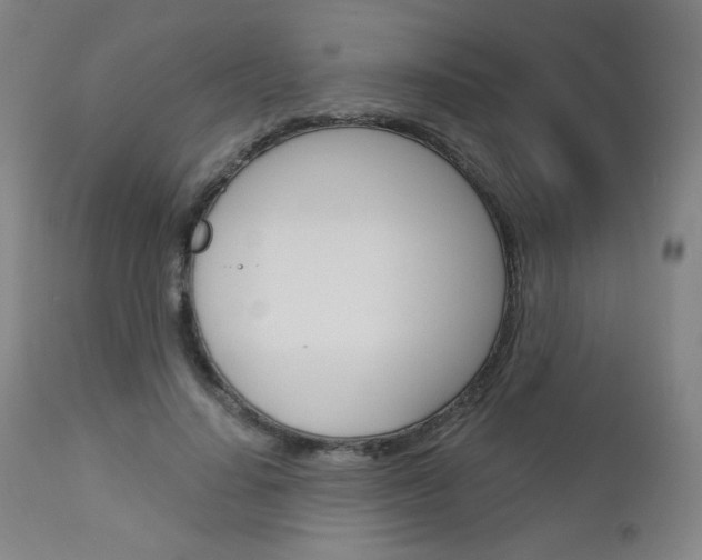X0000113140644200909040958