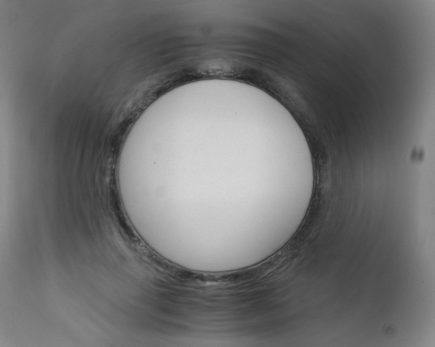 X0000113140645200909040958