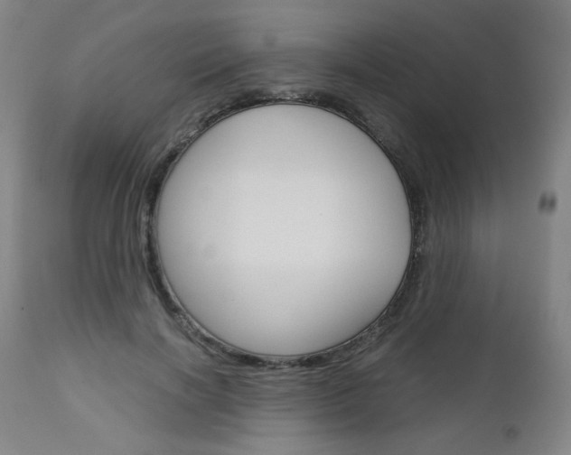 X0000113140646200909040958