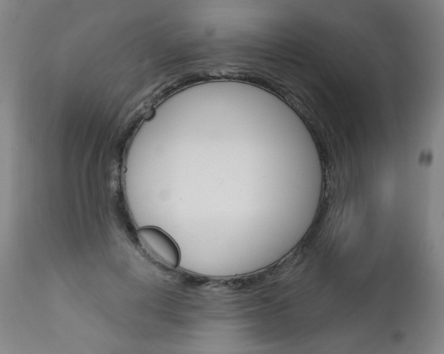 X0000113140648200909040958