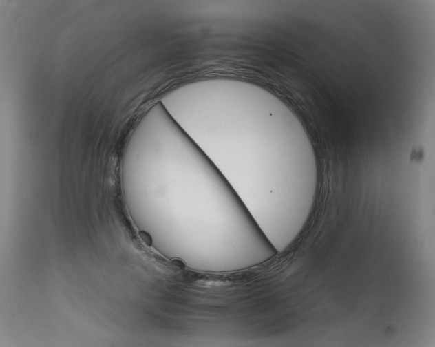 X0000113140649200909040958