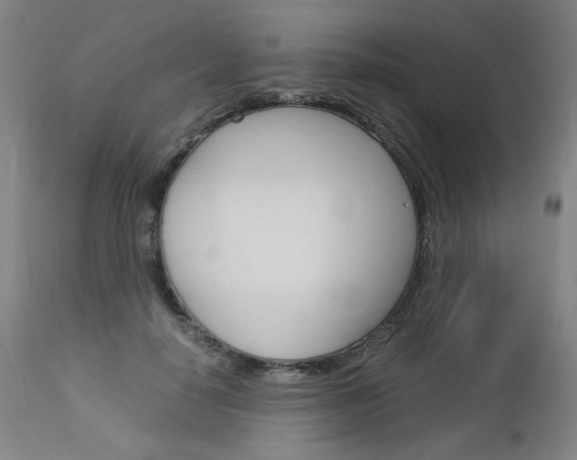 X0000113140650200909040958