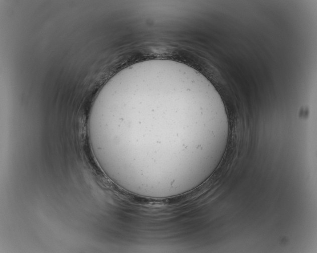 X0000113140651200909040958