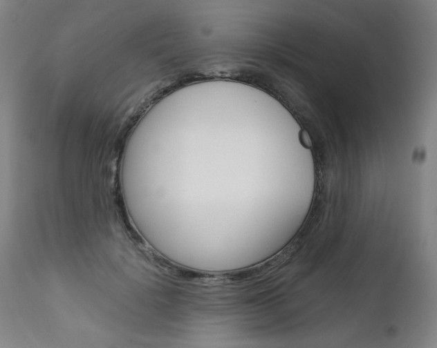 X0000113140652200909040958