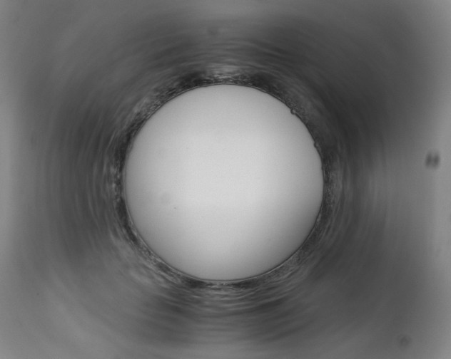 X0000113140653200909040958
