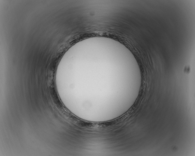 X0000113140656200909040959