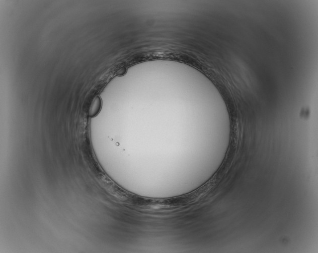 X0000113140657200909040959