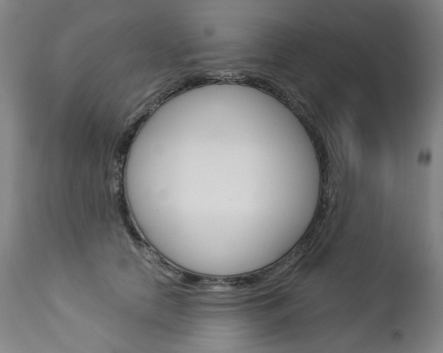 X0000113140658200909040959