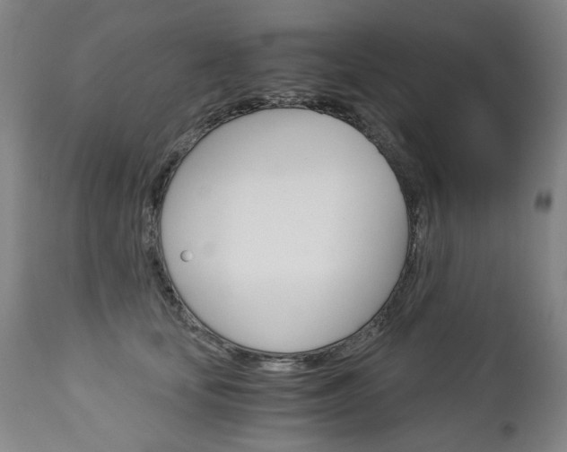 X0000113140659200909040959