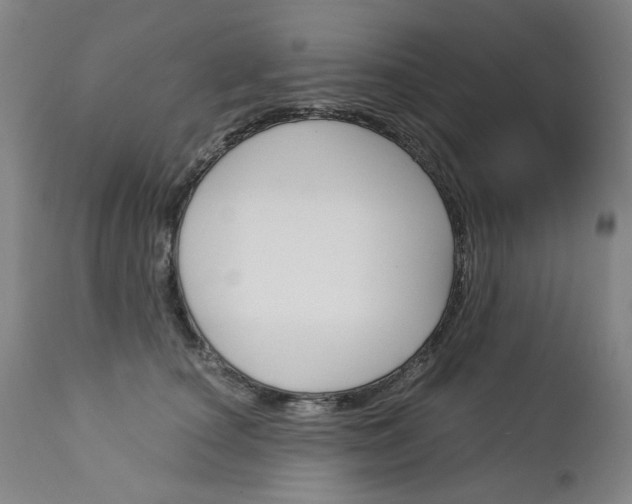 X0000113140660200909040959