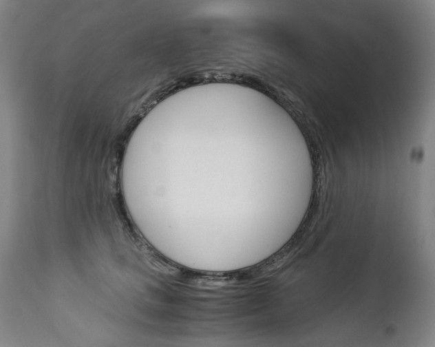 X0000113140661200909040959