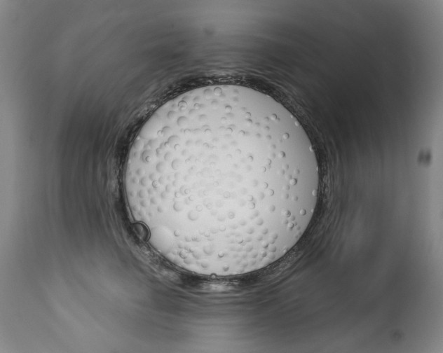 X0000113140662200909040959