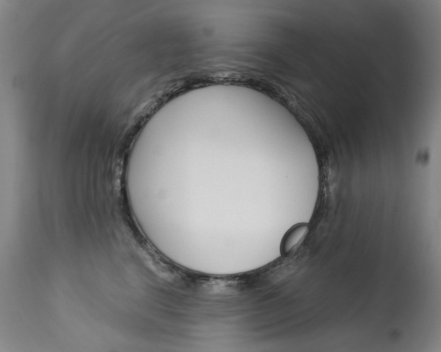 X0000113140664200909040959