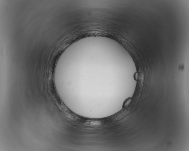 X0000113140665200909040959