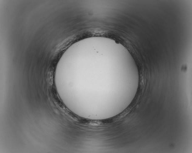 X0000113140666200909040959