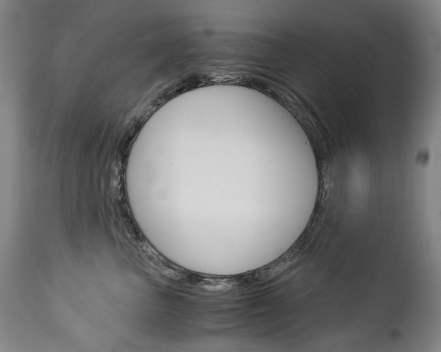 X0000113140667200909040959