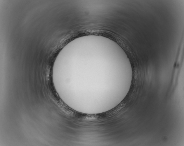 X0000113140668200909040959