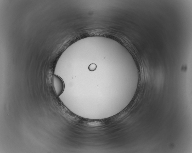 X0000113140669200909040959
