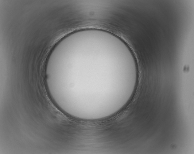 X0000113140673200909040958