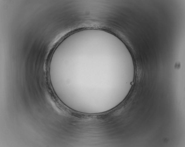 X0000113140674200909040958
