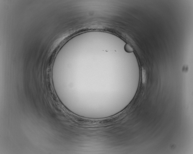 X0000113140675200909040958