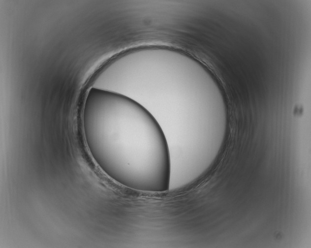X0000113140676200909040958