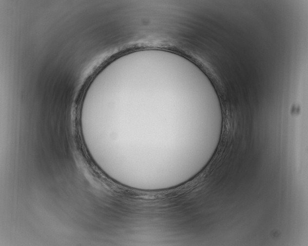 X0000113140678200909040958