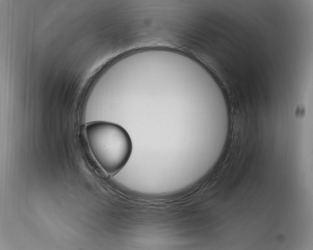 X0000113140680200909040958