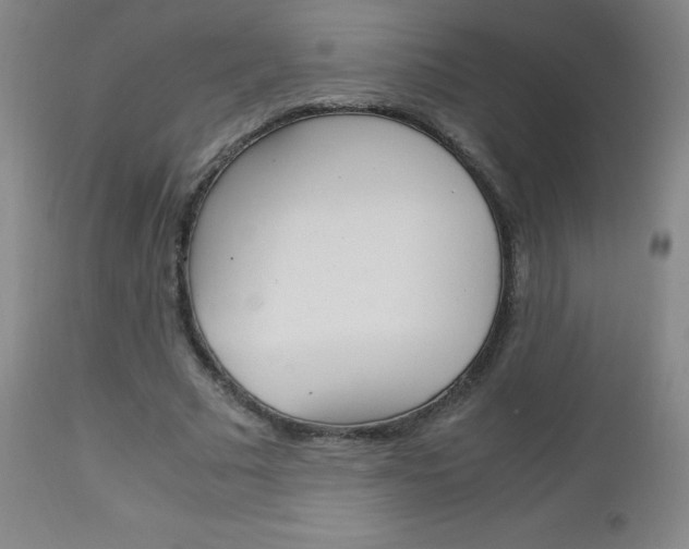 X0000113140681200909040958