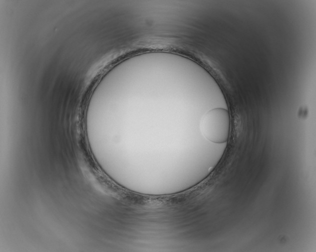 X0000113140682200909040958