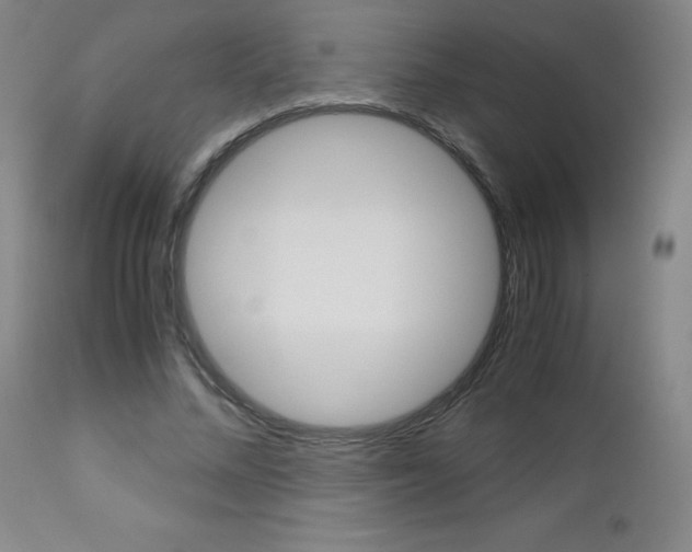 X0000113140684200909040958