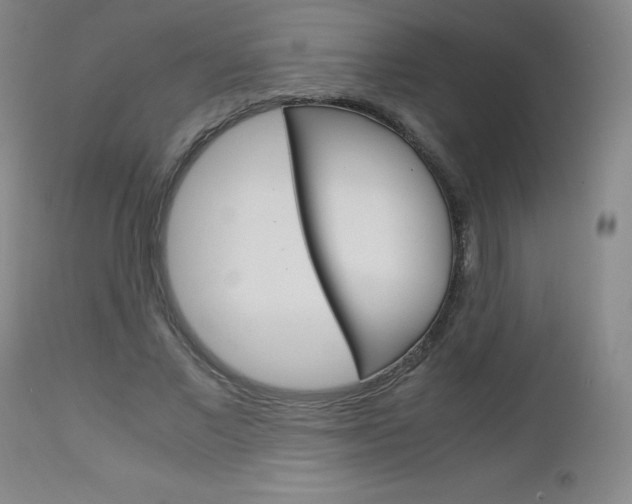 X0000113140685200909040958