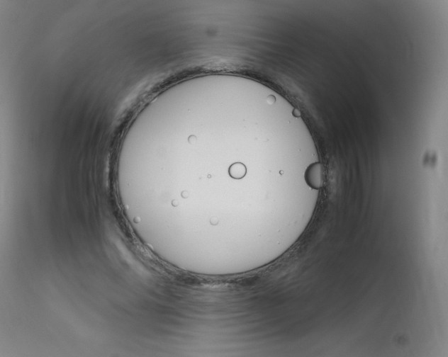X0000113140686200909040958