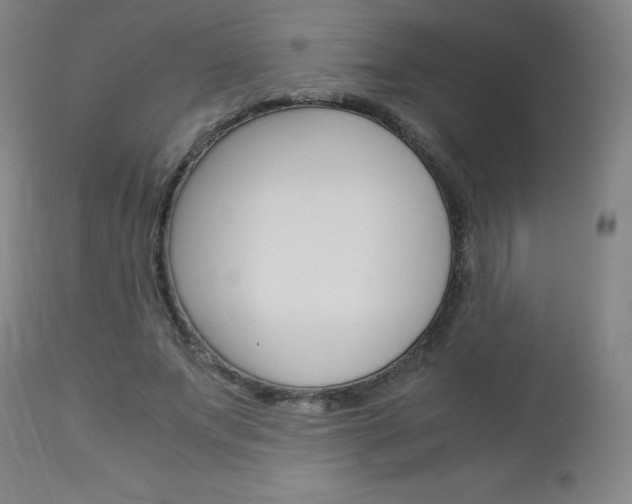 X0000113140687200909040958