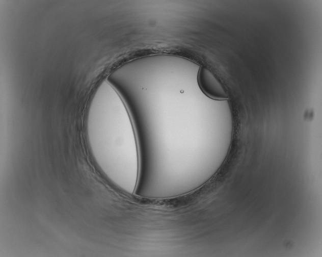 X0000113140689200909040958