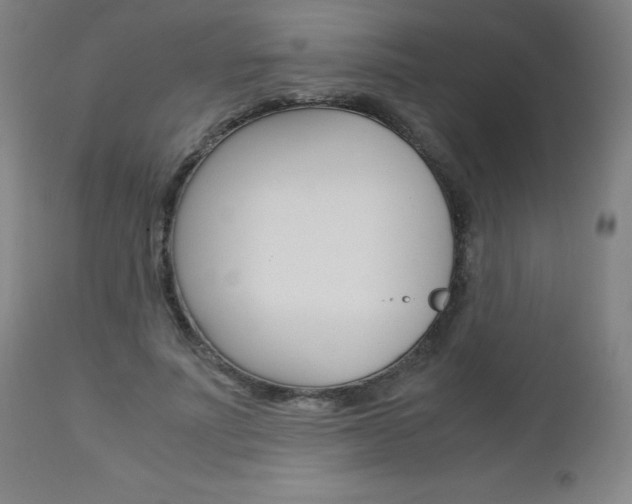 X0000113140691200909040958