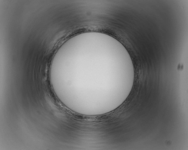 X0000113140694200909040958
