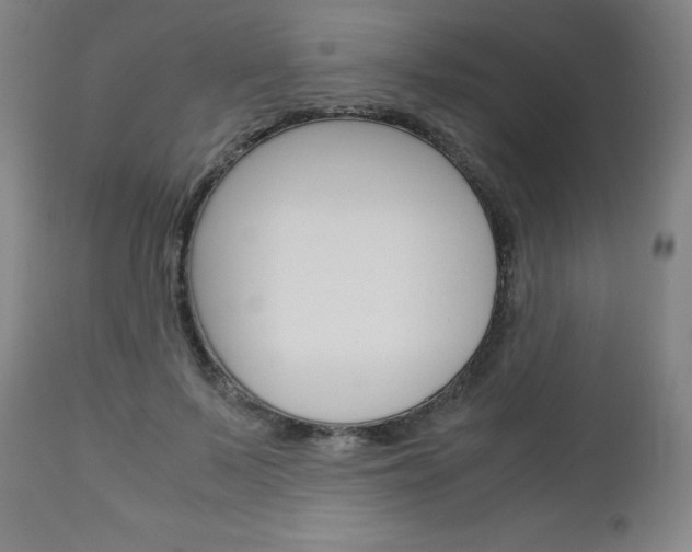 X0000113140695200909040958